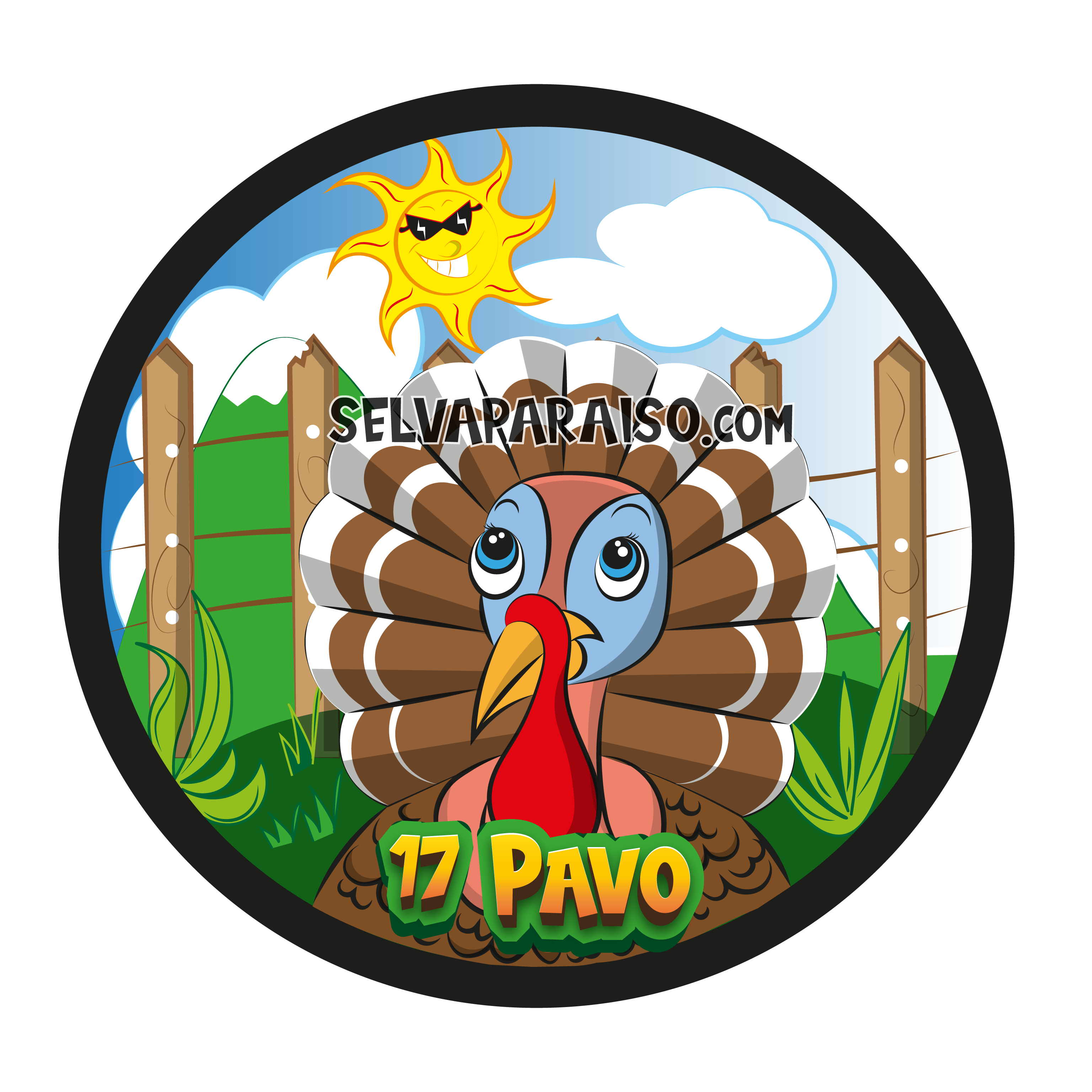 17 - Pavo