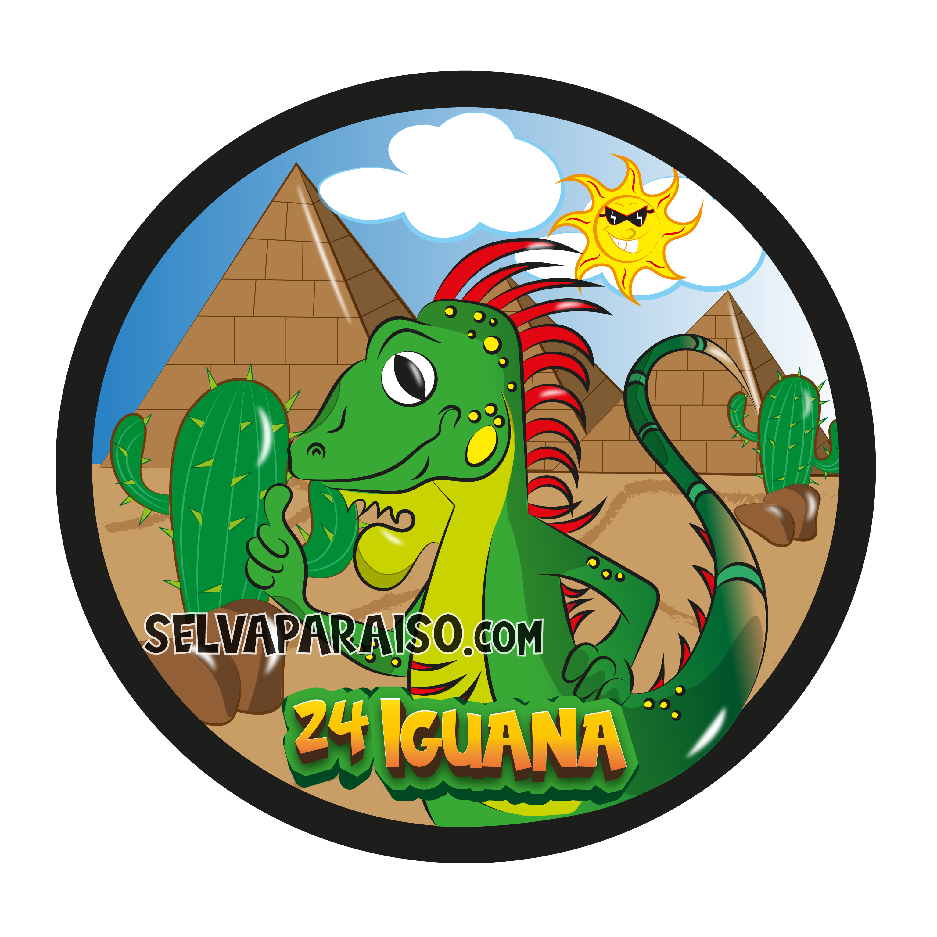 24 - Iguana