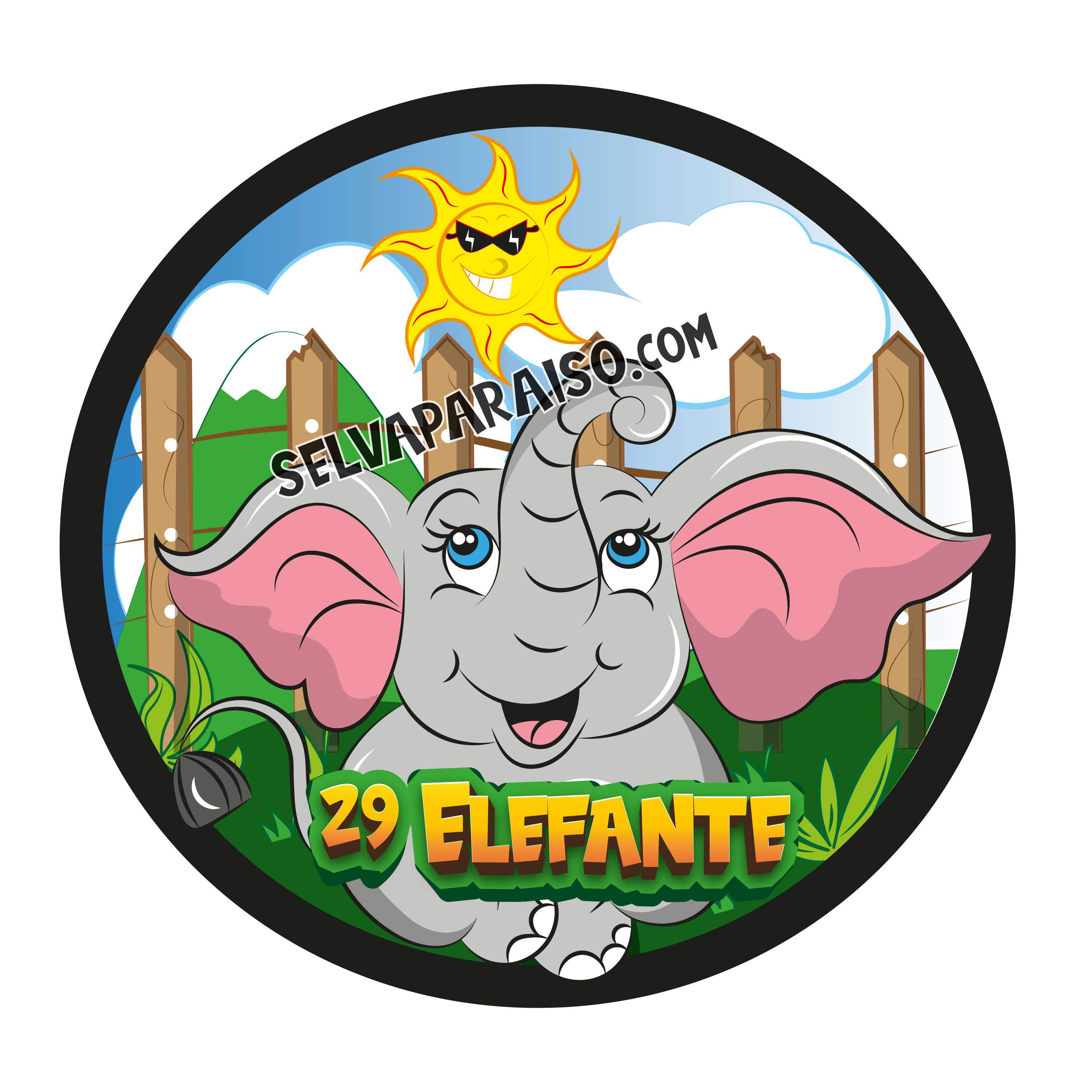 29 - Elefante